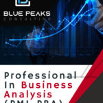 Business Analysis (569 × 738 px)